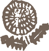 セサミ香房 1階